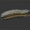 Colorful Millipede With Segmented Body And Shiny Rainbow Exoskeleton Details