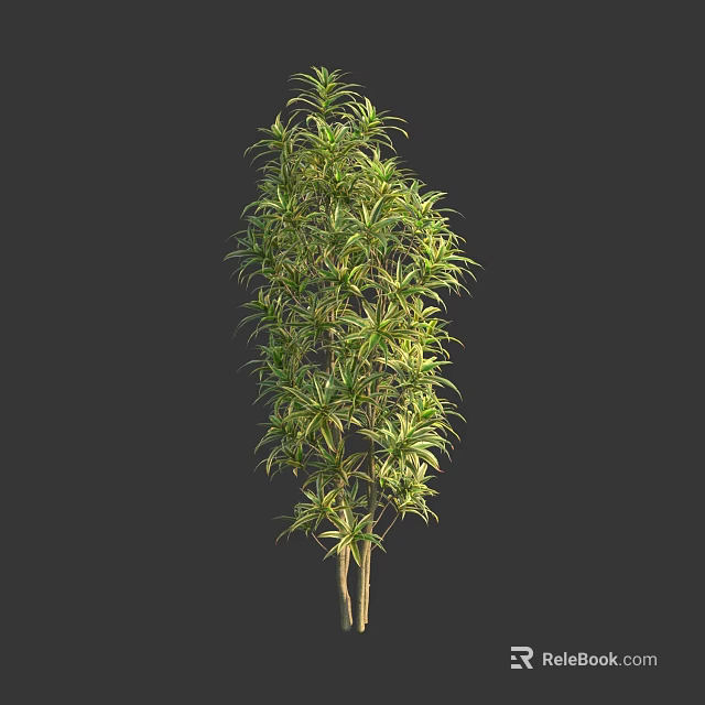 Indoor Decorative Bonsai Plant With Lush Green Foliage And Slender Trunks 3d model 