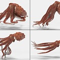 Octopus with binding and swimming animation giant octopus squid squid octopus octopus 3d model