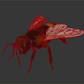 3D Rendered Bee Model With Detailed Wings And Yellow Black Striped Body