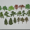Various Types of Trees Collection with Different Leaf Colors Green Red Orange