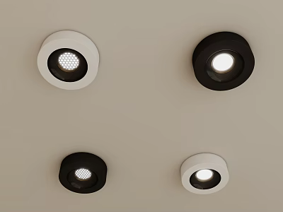 Modern White And Black Round Downlights Spotlights On Ceiling With Illuminated Design 3d model