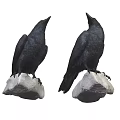 Two Black Crows Standing On White Stone Bases With Detailed Feathers And Upright Posture