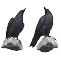 Modern Crow Modern Realistic Bird Animal Flying Animal Crow 3d model