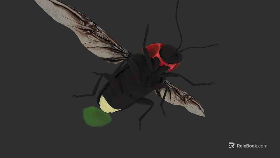 Realistic 3D Firefly Model With Black Body Red Head And Green Glowing Tail 3d model 
