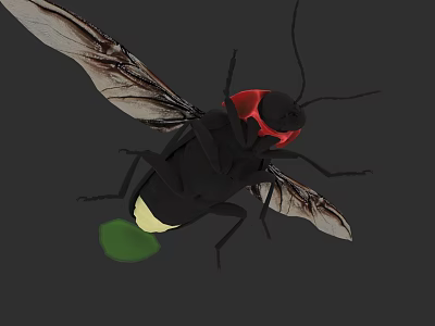 Realistic 3D Firefly Model With Black Body Red Head And Green Glowing Tail 3d model