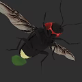 Realistic 3D Firefly Model With Black Body Red Head And Green Glowing Tail
