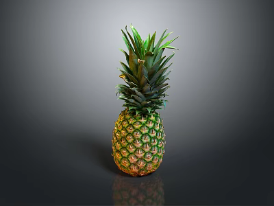 Fresh Ripe Pineapple With Green Leafy Top And Yellow Textured Skin On Dark Background 3d model