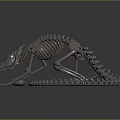 Medical Instrument Animal Skeleton Model With Metal Construction For Anatomical Teaching
