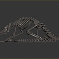 Modern Skeleton Animal Skeleton Skeleton Animal Skeleton 3d model