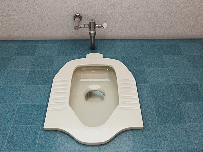 Squat toilet foot flush model