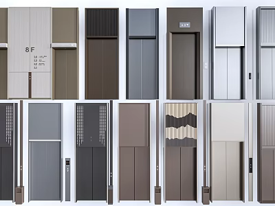 Modern Elevator Door Designs With Various Colors Different Styles And Contemporary Looks 3d model