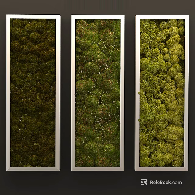 Vertical Moss Wall Design with Different Green Shades and Metallic Frames 3d model