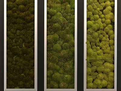 Vertical Moss Wall Design with Different Green Shades and Metallic Frames 3d model