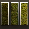 Vertical Moss Wall Design with Different Green Shades and Metallic Frames 3d model