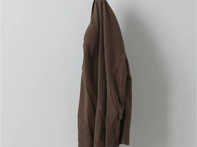 Soft Brown Towel Hanging On Wall As Essential Household Item For Daily Use 3d model