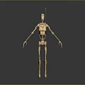 Wooden Mechanical Robot Figure With Skeleton Structure Slender Limbs And Head Antenna