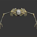 Detailed Human Skeleton Model Displaying Body Organs Structure On White Background