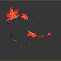Red and Pink Autumn Leaves Floating with Reflection on Dark Background 3d model