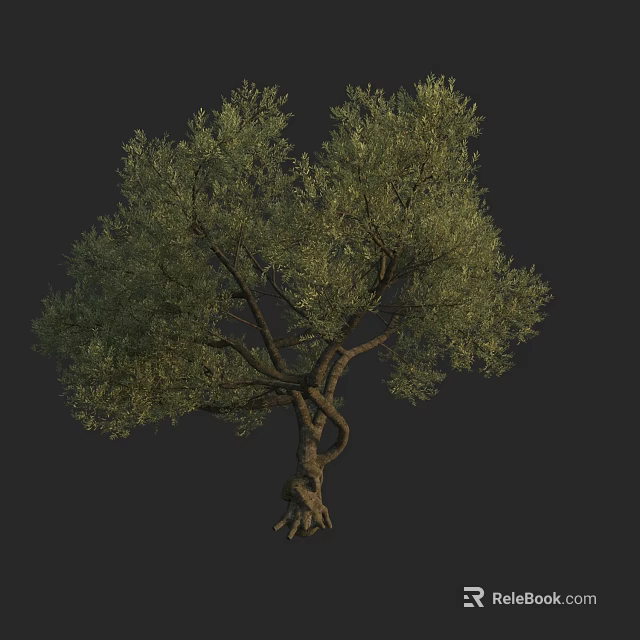 Healthy Mature Tree Displaying Twisted Trunk And Lush Green Foliage 3d model 