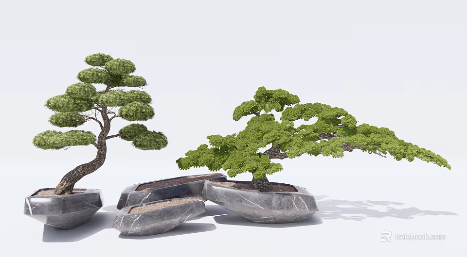 Bonsai Trees With Green Foliage Curved Trunk In Stone Pots Natural Style 3d model 