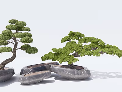 Bonsai Trees With Green Foliage Curved Trunk In Stone Pots Natural Style 3d model