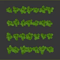 Fresh Green Plants Arranged In Specific Shape On Gray Background