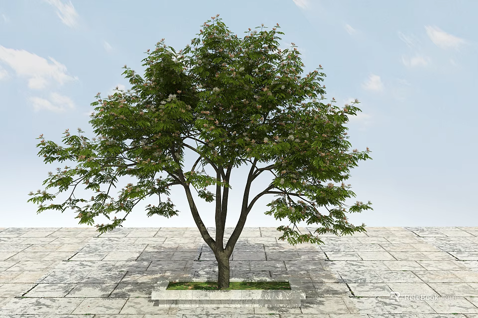 Lush Green Leafy Arbor With Strong Trunk On Stone Pavement And Blue Sky Background 3d model 