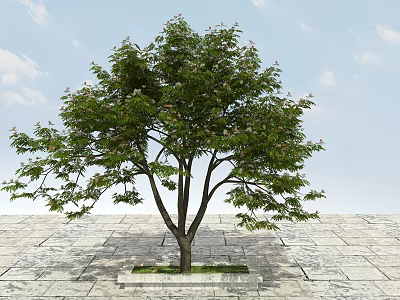 Lush Green Leafy Arbor With Strong Trunk On Stone Pavement And Blue Sky Background 3d model