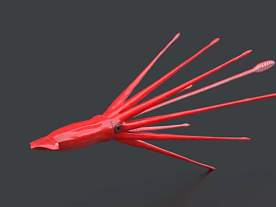 Vibrant Red Squid Aquatic Animal With Long Flexible Tentacles 3D Model 3d model