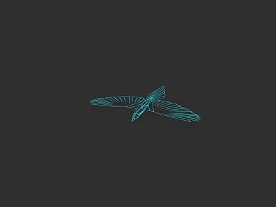 Teal Flying Bird Minimal Line Art Illustration On Black Background Design 3d model