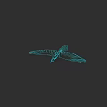 Teal Flying Bird Minimal Line Art Illustration On Black Background Design