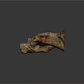 Natural Wood And Stone Sculpture With Organic Texture And Artistic Shape