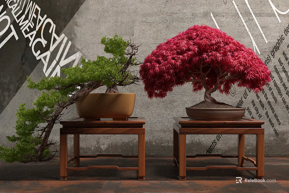Green Pine and Red Maple Bonsai Trees Placed on Wooden Tables Against Gray Wall 3d model 
