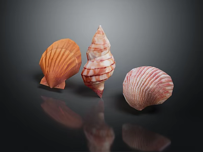 Marine Shellfish Animals Colorful Seashells in Pink Orange Striped Shapes on Black Background 3d model