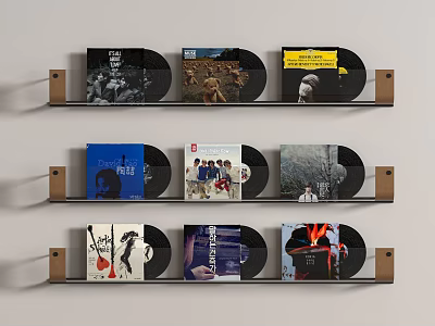 Multiple Vinyl Record Wall Decor Displayed on Wooden Shelves for Home Interior 3d model