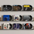 Multiple Vinyl Record Wall Decor Displayed on Wooden Shelves for Home Interior