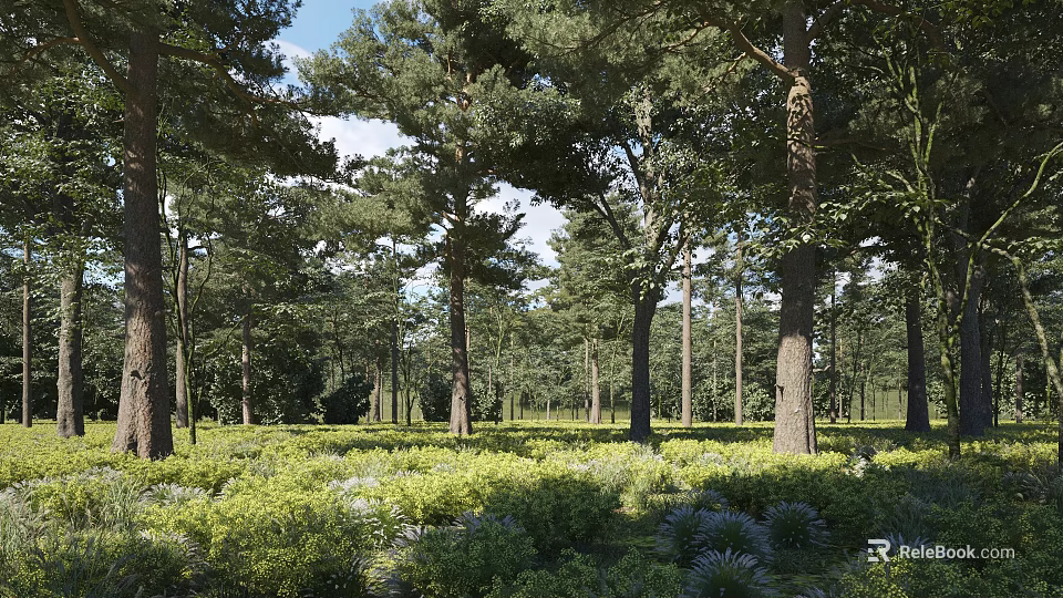 Scenic Forest Landscape With Tall Trees Green Vegetation Blue Plants Blue Sky White Clouds 3d model 