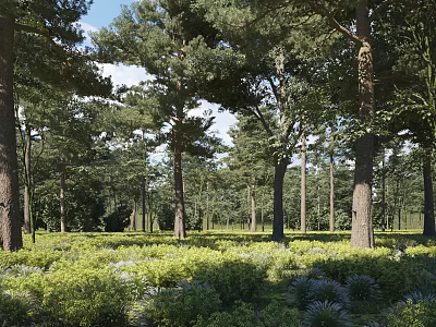 Scenic Forest Landscape With Tall Trees Green Vegetation Blue Plants Blue Sky White Clouds 3d model