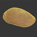 modern turtle shell chicken turtle chicken turtle shell turtle shell 3d model