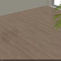 Natural Wooden Floor With Palm Plant Light Wall And Window
