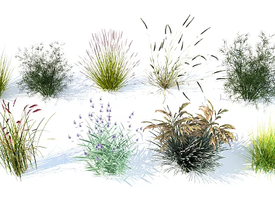 Aquatic Plants Featuring Green Foliage Different Heights And Varied Species In Water Garden 3d model