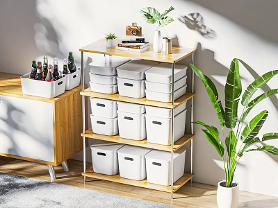 Multi Tier Storage Rack with White Boxes Holding Living Essentials Wooden Cabinet and Green Plant 3d model