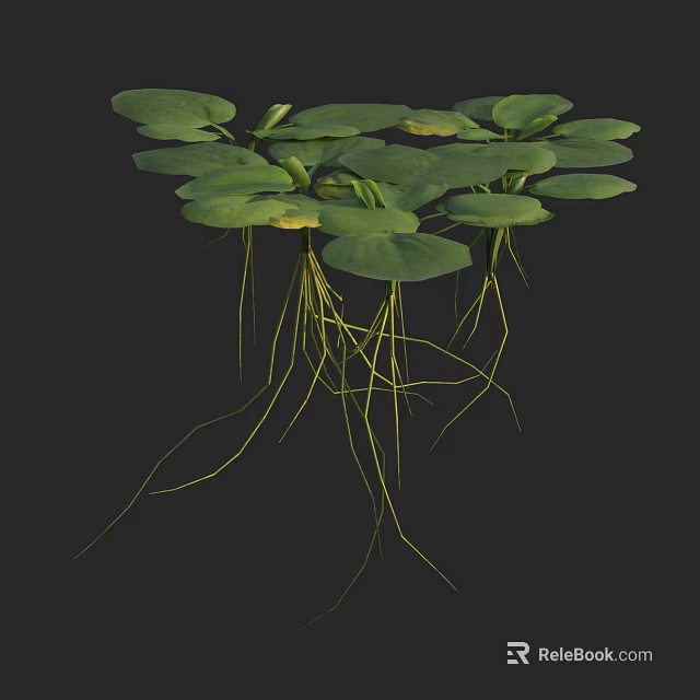 Vibrant Green Lotus Leaves With Long Fibrous Roots And Natural Fresh Texture 3d model 