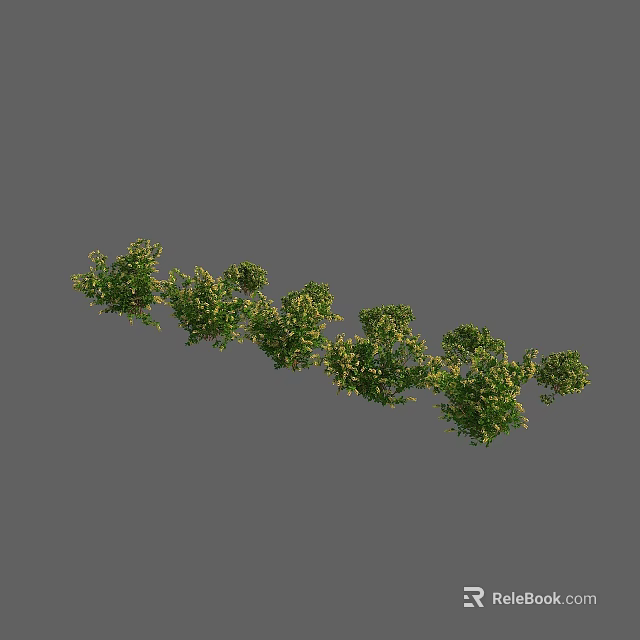 Vibrant Green and Yellow Leaf Shrub with Dense Clustered Foliage for Garden Decoration 3d model 