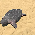 Reptile Sea Turtle Lying On Sandy Beach With Natural Habitat Scene