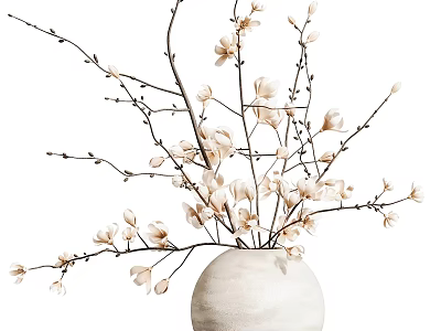 White Ceramic Vase with Natural Magnolia Branches and Delicate White Flowers 3d model