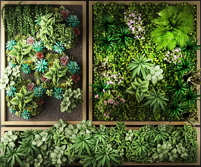 Decorative Living Green Plant Wall With Various Succulents Ferns And Small Flowers 3d model