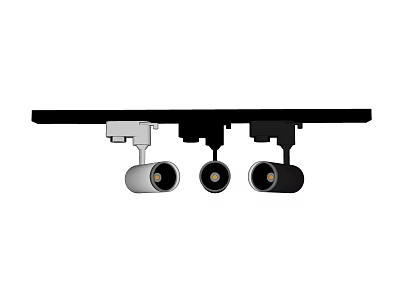 Track Mounted Downlights And Spotlights With Multiple Heads Black Silver Finish 3d model