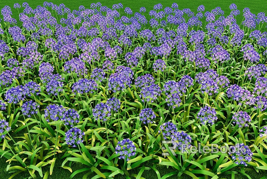 Baizilian landscape flowers and grass model